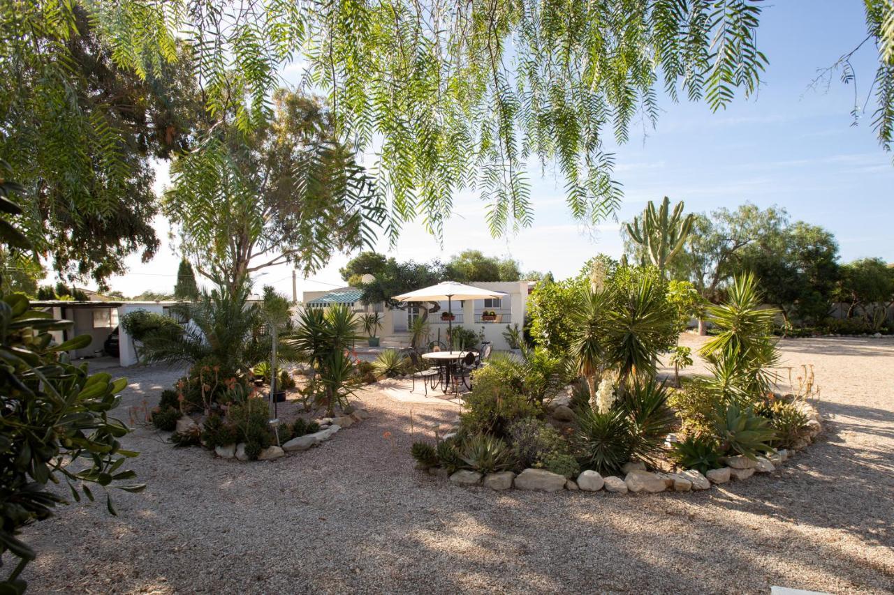 Apartment Costa Blanca Mutxamel  Exterior foto